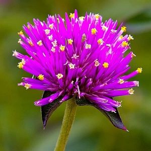 Meet your Posher, Teri